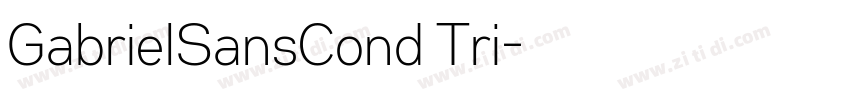 GabrielSansCond Tri字体转换